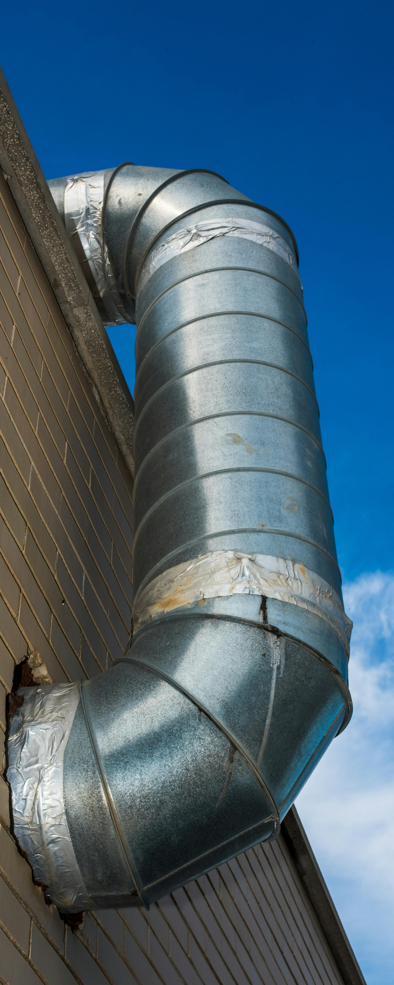 Infographic Vertical Banner (1)