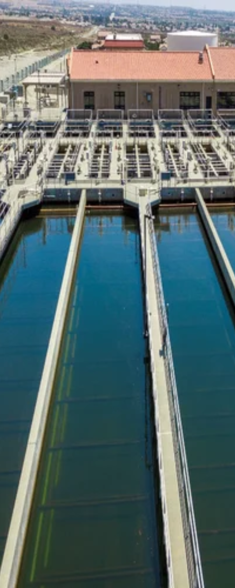 Infographic Vertical Banner