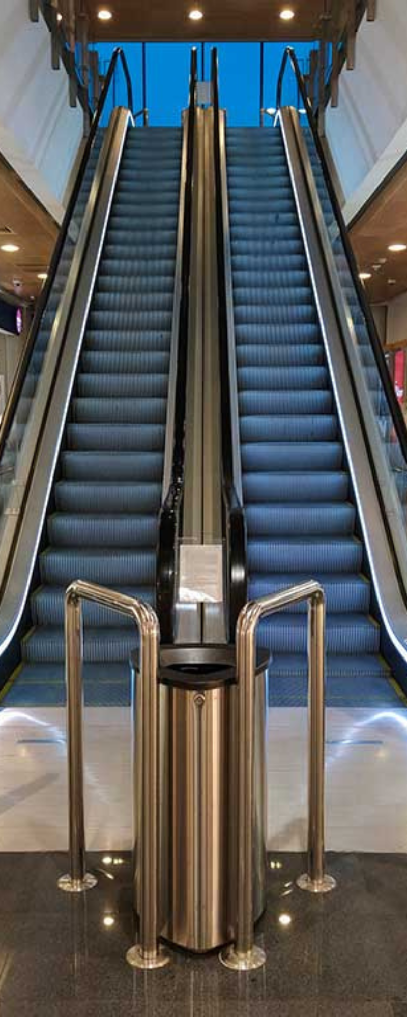 Infographic Vertical Banner